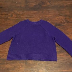 Purple Sweater